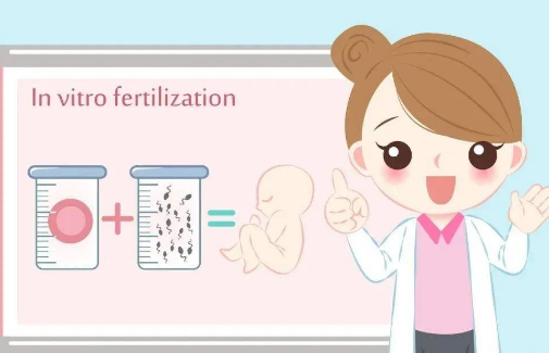 重庆供卵助孕-提前了解这些提供各种辅助技术的重庆试管婴儿医院的情况